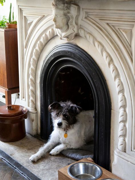 15 Pet Nooks and Built-Ins | HGTV Dog Bed Fireplace, Dog Bed In Fireplace, Indoor Dog Space, Fireplace Dog Bed, Dog House Aesthetic, Doggie Nook, Dog Nook Ideas, Empty Fireplace Ideas, Dog Nook