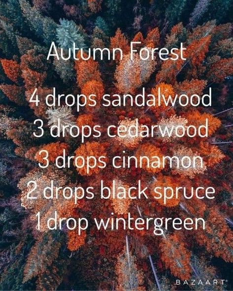 Diy Deodorizer, Essential Oil Perfumes Recipes, Fall Diffuser Blends, Essential Oil Combinations, Essential Oil Diffuser Blends Recipes, Perfume Recipes, Essential Oils Guide, Essential Oils Herbs, Essential Oil Diffuser Recipes