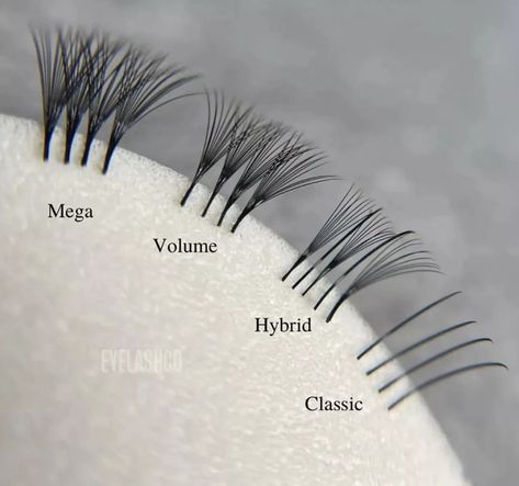 Different Types Of Lashes, Types Of Lashes, Types Of Eyelash Extensions, Silk Eyelash Extensions, Lash Extension Training, Lash Extentions, Lash Tricks, Lashes Tutorial, Eyelash Technician