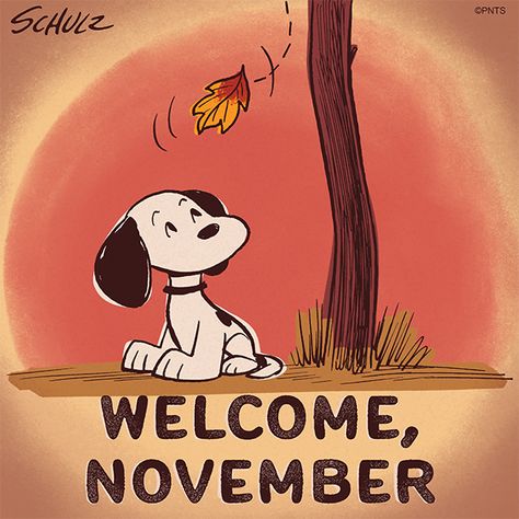 Peanuts Wallpaper, I Got A Rock, Welcome November, Welcome Gif, Apple Watch 3, Snoopy Funny, A Kind Of Magic, Peanuts Characters, Snoopy Love