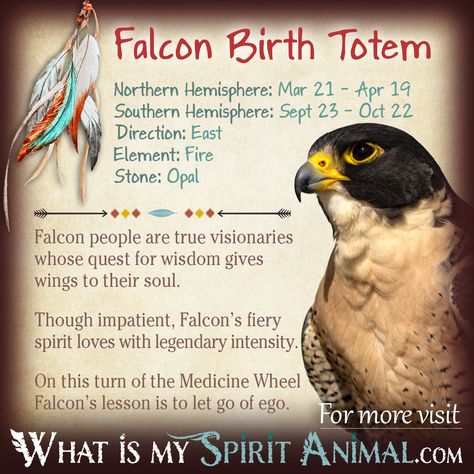 Is Falcon (Red Tailed Hawk) your Birth Totem? Get in-depth Native American Zodiac & Astrology descriptions! Personality, traits, and compatibility! What Is My Spirit Animal, Birth Totem, Native American Astrology, Animal Totem Spirit Guides, Native American Zodiac, Spirit Animal Meaning, Birth Signs, Native American Totem, Native American Spirituality