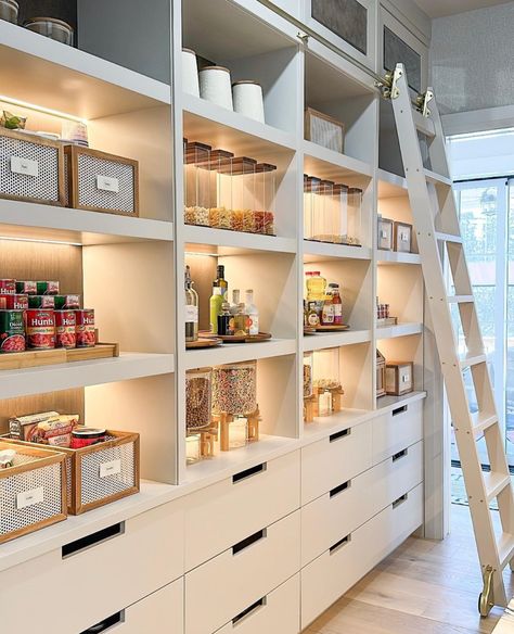 Pantry Behind Kitchen Wall, Hallway Pantry, Pantry Closet Design, Pantry Layout, Dream Pantry, House Pantry, Pantry Inspiration, Pantry Laundry Room, Pantry Room