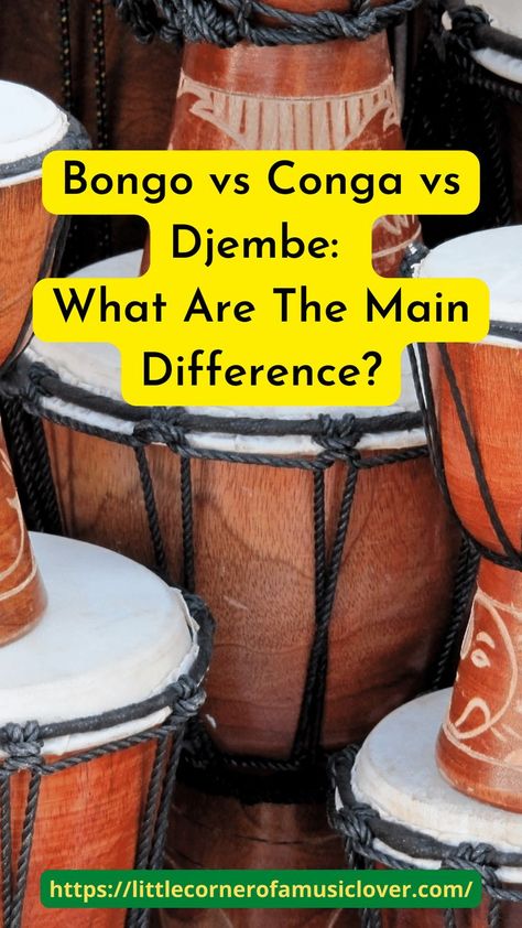 Bongo vs Conga vs Djembe - What Are The Main Difference Djembe Drum, Bongo Drums, Make Your Choice, Hand Drums, Drum Circle, Hand Drum, Drums, Make Your, Make It Yourself