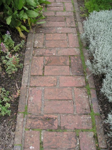 Brick Path, Pathway Landscaping, Walkways Paths, Brick Garden, Garden Floor, Garden Walkway, Garden Steps, Have Inspiration, Garden Path