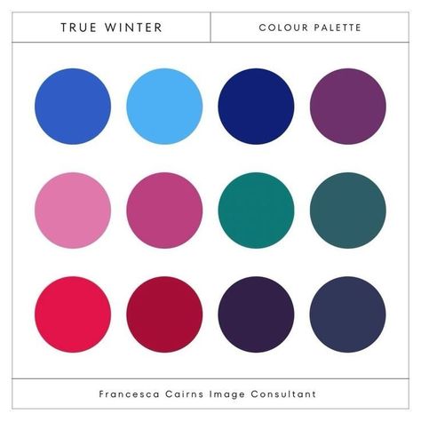 Color Palette For Winter Skin Tones, True Red Color Palette, True Winter Green, True Winter Color Palette Hair, High Contrast Colour Palette, Winter Jewel Tones, Toned Winter Color Palette, Winter Skin Tone Color Palette, True Winter Color Palette Makeup