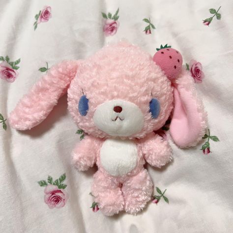 Cute Core Plushies, Kawaiicore Plushies, Cutecore Toys, Sugarbunnies Plush, Cutecore Plushies, Strawberry Plushies, Pink Plushies, Sugarbunnies Sanrio, Girly Toys