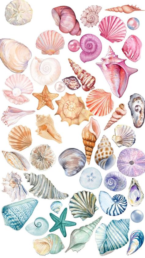 Aesthetic Wallpaper Macbook, Notebook Clipart, Travel Aesthetic Wallpaper, Clipart Aesthetic, Seashell Drawing, Aesthetic Clipart, Macbook Wallpaper Aesthetic, Aesthetic Christmas Tree, Beachy Wallpapers