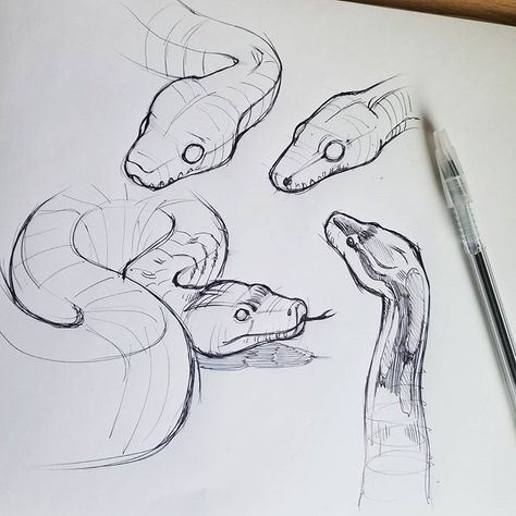 Snake doodles 🐍 my schedule this week is sooo busy, I'll be at the convention Anime Los Angeles friday-sunday! Hope to see some of you… Snake Doodle, Devin Elle Kurtz, Snake Painting, Snake Illustration, Snake Drawing, Snake Art, Style Anime, Shugo Chara, Art Simple