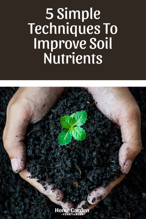 How To Till Soil, How To Prepare Soil For Vegetable Garden, How To Add Nutrients To Soil, Soil Nutrients, Making Soil More Acidic, Vegetable Garden Soil, How To Amend Garden Soil, Compost Soil, Improve Soil Quality