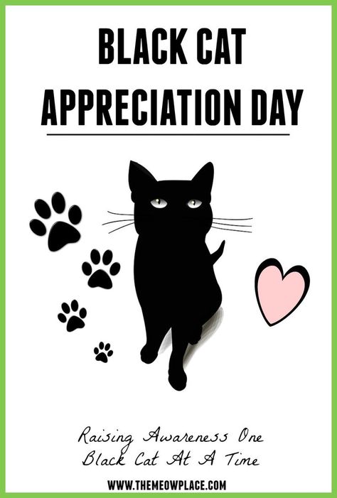 Did you know that black cats are considered lucky in many places? Help dispel the myth and stigma around black cats by celebrating these beautiful mini-panthers. Happy Black Cat, Black Cat Day, Black Cat Appreciation Day, Happy Black, Cat Stories, New Cat, Cat Character, Cat Statue, Outdoor Cats