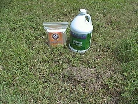 Kill Fire Ants, Fire Ant, Ant Hill, Red Ant, Kill Ants, Rid Of Ants, Ant Killer, Get Rid Of Ants, Fire Ants