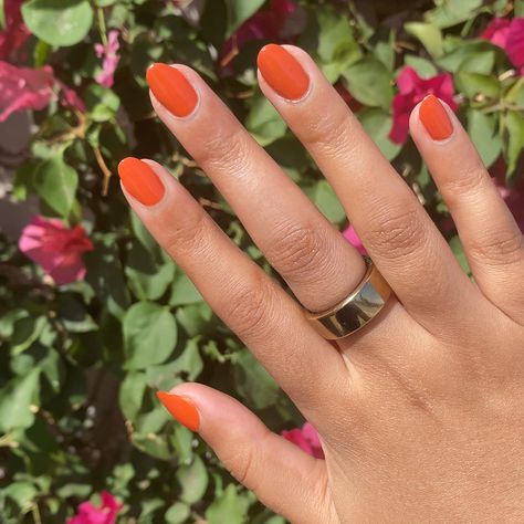 Flowerpot – Olive and June Orange Dip Powder Nails, Fall Nails Burnt Orange, Burnt Orange Nails Fall, Fall Orange Nails, Burnt Orange Nail Polish, Terracotta Nails, Summer Nails Orange, Orange Summer Nails, Burnt Orange Nails