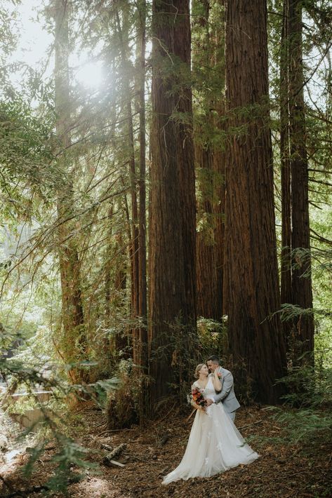 Bride and grooms intimate redwood forest elopement photos at Big Sur Lodge. Find the best California elopement locations, Northern California elopement ideas, and California elopement photos. Book Julia as your California elopement photographer or small California wedding photographer at juliaminaphotography.com! Big Sur Lodge, Northern California Elopement, Park Photography, Redwood Forest, California Elopement, Elopement Ceremony, Beach Elopement, California Beach, Elopement Locations