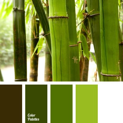 Color Palette #412 | Color Palette Ideas Bamboo Color Palette, Nature Pallet, Pallets Color, Soothing Paint Colors, In Color Balance, Flat Bedroom, Green Monochrome, Palettes Color, Combination Color