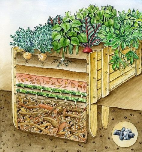 Plan Potager, Plantarea Legumelor, Raised Vegetable Gardens, Vegetable Garden Raised Beds, Vegetable Garden Planning, Pallet Planter, Diy Raised Garden, Plants Growing, Backyard Vegetable Gardens