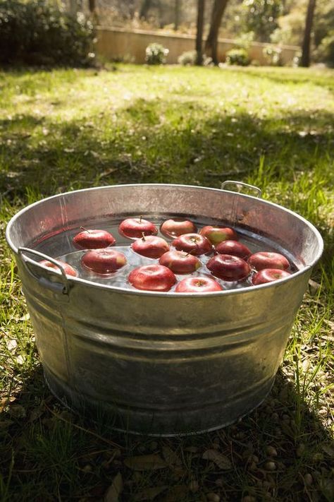 Apple Bobbing Halloween, Bob For Apples, Halloween Abc, Backyard Halloween Party, Apple Bobbing, Halloween Party Activities, Halloween Camping, Halloween Scavenger Hunt, Bobbing For Apples