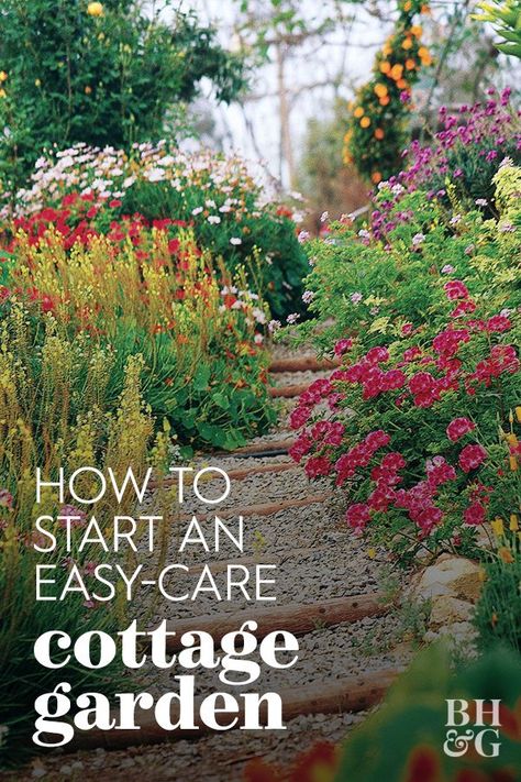 Landscaping 101, Plants For Yard Landscaping Ideas, Best Backyard Plants, Cottage Garden Bed Design, Easy Garden Design, Cottage Front Yard Garden, Small Front Yard Flower Garden, Tiny Cottage Garden Ideas, Designing A Cottage Garden