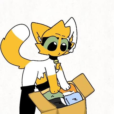 Fox Meme, Fox Memes, Mika Kit, Dragon Puppet, Anime Animals, Drawing Base, Puppets, Short Videos, Character Art