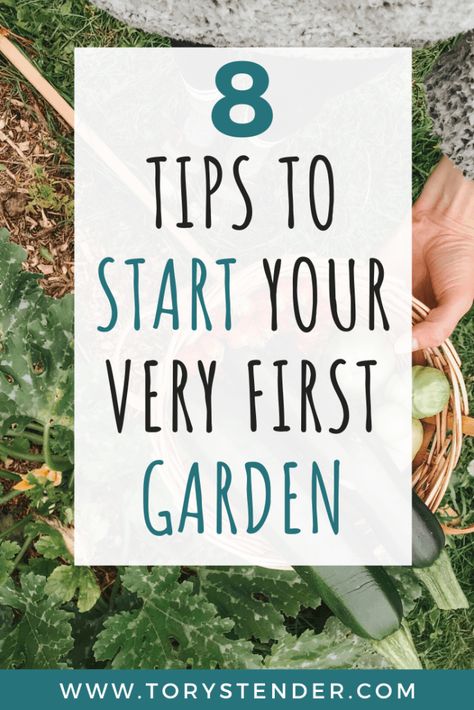 How To Start Raised Garden Beds, How To Start A Small Garden Patio, My First Garden Backyards, When To Start A Raised Garden, How To Set Up Garden, How Many Vegetables To Plant Per Person, First Garden Ideas, Raised Garden Beds Beginner, Beginners Garden Layout