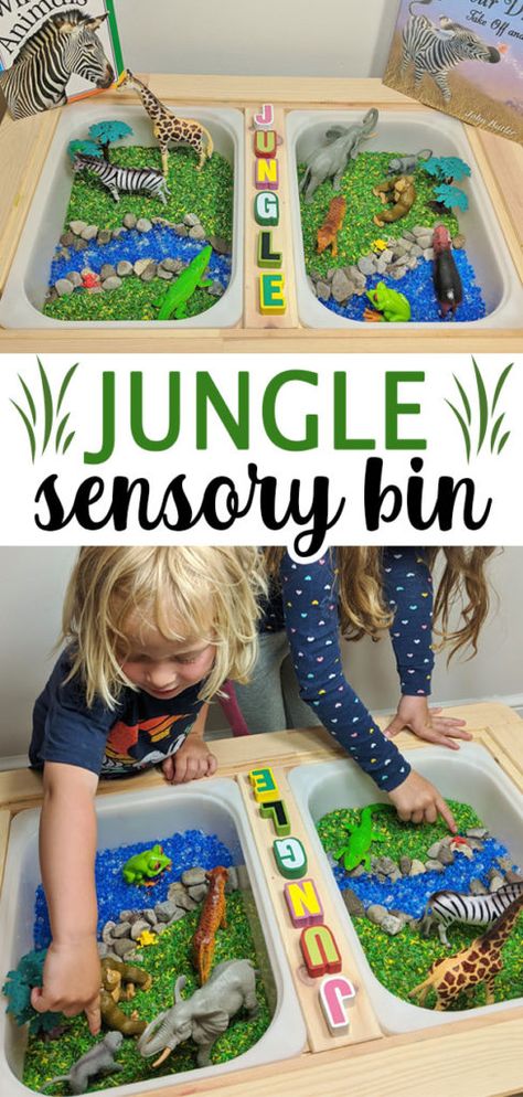 Sensory Jungle Activities, Sensory Activities With Animals, Jungle Theme Montessori, Jungle Theme Kindergarten Activities, Sensory Bin Animals, Safari Sensory Bin Preschool, Safari Themed Sensory Bin, Animal Kingdom Theme Preschool, Jungle Kids Crafts