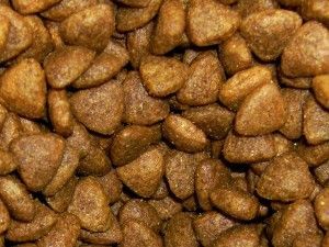 Homemade Dry Cat Food Recipe (Kibble) Cats Treats, Cat Food Recipe, Cat Food Recipes, Diy Cat Food, Healthy Cat Food, Homemade Cat Food, Cat Food Brands, Cat Apparel, Homemade Cat