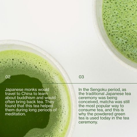 Japanese Wellness, Berlin Photoshoot, Matcha Poster, Matcha Branding, Matcha Design, Matcha Shop, Japanese Branding, Travel To China, Tea Branding