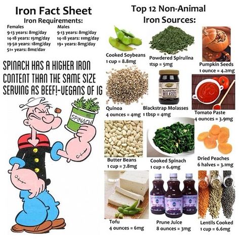 Iron Foods, Sources Of Iron, Foods With Iron, Iron Supplement, Foods High In Iron, Iron Deficiency, Iron Rich Foods, High Iron, Iron Rich