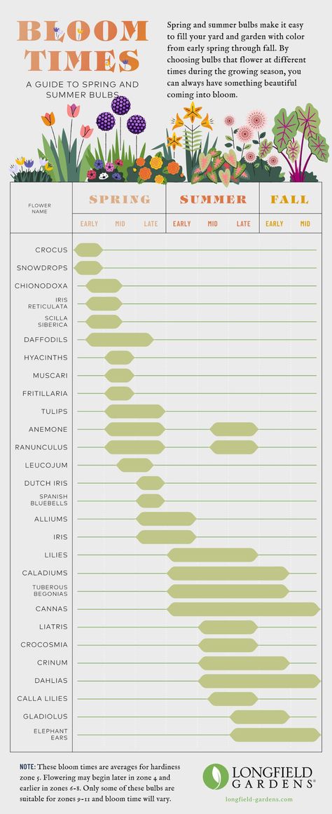 Bloom Time Planning Guide for Spring and Summer Flower Bulbs Flower Garden Layouts, Longfield Gardens, Flower Garden Plans, Summer Bulbs, Time Planning, Flower Bulbs, Garden Bulbs, Cut Flower Garden, Have Inspiration