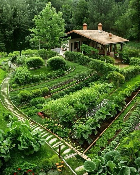 Garden Shapes, Farm Landscaping, Garden Planning Layout, Orchard Design, Dream Backyard Garden, Rose Nursery, Hillside Garden, Garden Layout Vegetable, Permaculture Design