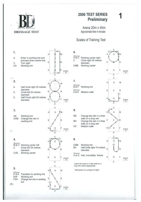 Prelim dressage test... Horsemanship Patterns, Riding Ideas, Dressage Tests, Dressage Exercises, Horse Training Exercises, Horse Lessons, Dressage Training, Horse Exercises, Horse Riding Tips