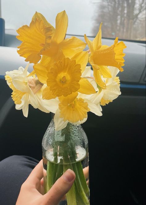 #flower #flowerarrangement #yellow #daffodils #spring #aesthetic #bouquet #market #flowerpotsoutdoor Daffodils Bouquet Aesthetic, Daphodil Aesthetic, Flower Bouquet Daffodils, Yellow Daffodils Aesthetic, Daffodil Flower Bouquet, Dafodill Bouquet, Dafodill Flower Aesthetic, Daffodil Flower Aesthetic, March Manifestation