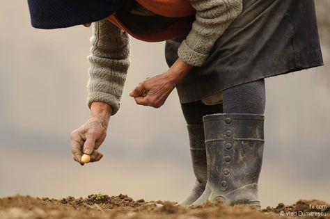 © Vlad Dumitrescu    http://1x.com/photo/40800/portfolio/9541 A Well Traveled Woman, Farmer Wife, We Are The World, Easter Shopping, Planting Seeds, Artist Canvas, All About Eyes, Country Life, Trendy Plus Size