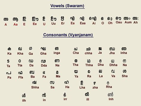 Vowels and Consonants Tamil Letters In English, Malayalam Letters Worksheet, Malayalam Alphabets, Tamil Letters Chart, Malayalam Letters, Malayalam Learning, Malayalam Alphabets Chart, Learn Malayalam Through Tamil, Learn Malayalam