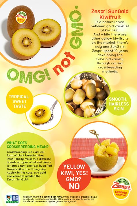 Fun fact: SunGold kiwifruit is non-GMO. Still confused? Check out this infographic to learn how this tropical-sweet yellow kiwi came to be. Kiwi Nutrition, Yellow Kiwi, Kiwi Health Benefits, Kiwi Benefits, Fruit Facts, Source Of Fiber, Daily Vitamin, Honeycrisp Apples, Good Source Of Fiber