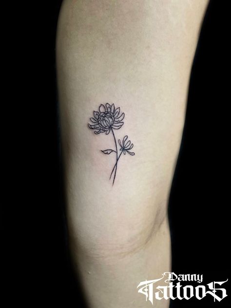 One Line Chrysanthemum Tattoo, Mini Chrysanthemum Tattoo, Chrysanthemum Tattoo Linework, Single Line Chrysanthemum Tattoo, Crisamthmum Tattoo, Chrysanthemum Small Tattoo, Chrysanthemum Simple Tattoo, Chrysanthemum Tattoo Ankle, Narcissus And Chrysanthemum Tattoo