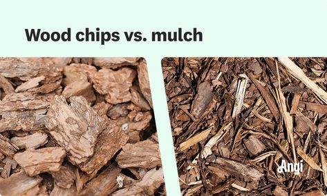 Wood Chips vs. Mulch: What’s the Difference? Wood Chip Landscaping Ideas, Bark Chips Landscaping, Cedar Chips Landscaping, Wood Chips Landscaping Ideas, Wood Chips Landscaping, Wood Chips Garden, Planting Grass Seed, Tree Mulch, Cedar Chips