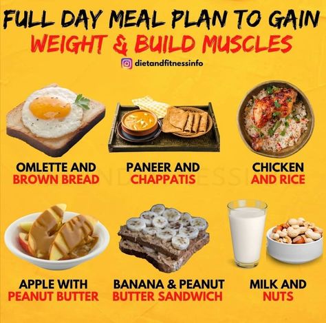 Gain Weight Men, Weight Gain Drinks, Weight Gain Diet Plan, Muscle Gain Meal Plan, Weight Gain Plan, Tips To Gain Weight, Muscle Gain Diet, Healthy Weight Gain Foods, Food To Gain Muscle