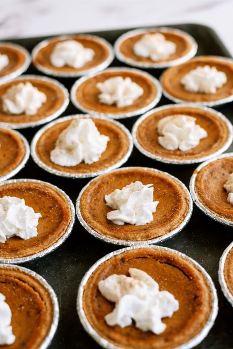 Mini Pie With Graham Cracker Crust, Mini Pumpkin Pie Recipe Muffin Tins, Small Pumpkin Pies Easy, Mini Pumpkin Pie Graham Cracker Crust, Mini Holiday Pies, Mini Pumpkin Pies With Graham Cracker Crust, Mini Pies Easy Graham Crackers, Mini Pumpkin Pies With Graham Cracker, Mini Apple Pies Graham Cracker Crust