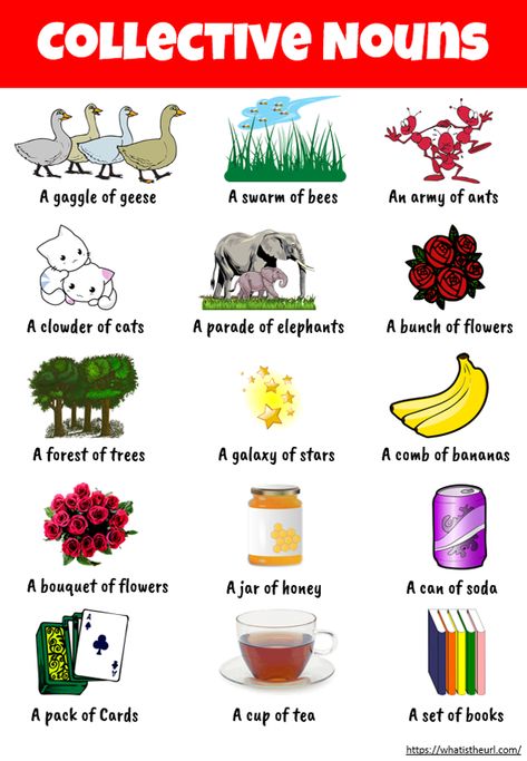 Chart on Collective Nouns - Your Home Teacher Collective Nouns Worksheet Grade 4, Charts For Grade 1 Classroom, Vocabulary Words For Kids, Noun Chart, Nouns For Kids, Collective Nouns Worksheet, English Charts, Nouns Activities, English Grammar For Kids