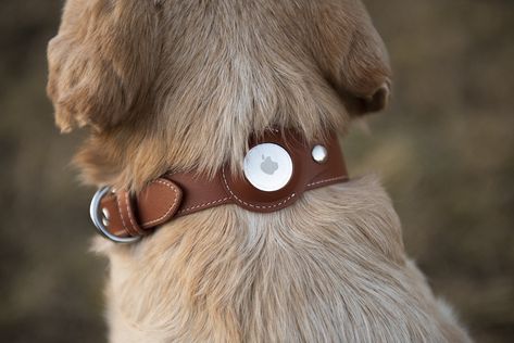 Airtag Dog Collar, Mac Store, Leather Stamping, Leather Dog Leash, Apple Airtag, Dog Collar Tags, Leather Stamps, Veg Tan Leather, Losing A Dog