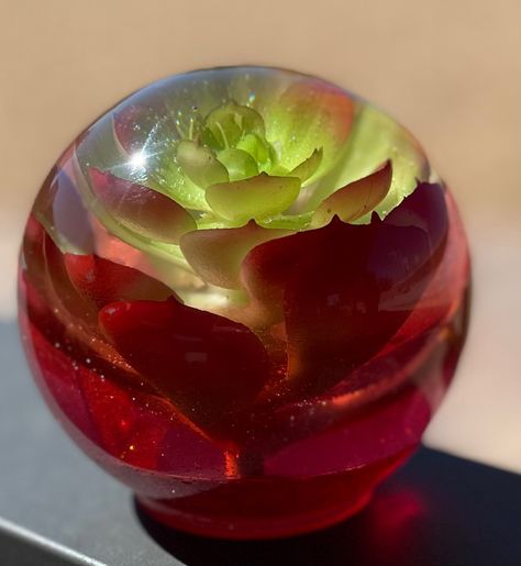 Succulent in resin Plant Resin Art, Resin Succulent, Epoxy Resin Sphere, Epoxy Resin Flower Vase, Preserved Bouquet Resin, Epoxy Resin Crafts, Epoxy Resin, Resin Crafts, Resin Art