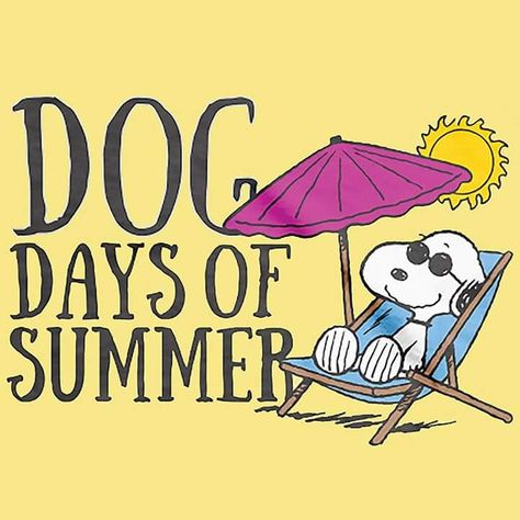 Dog Days of Summer Dog Days Of Summer Quotes, Snoopy Friday, Snoopy Summer, Happy Summer Quotes, End Of Summer Party, Friday Dog, Cool Snoopy, Peanuts Quotes, Snoopy Stuff