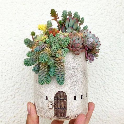 Clay Houses, Ceramics Ideas Pottery, Cactus Flower, Succulent Pots, Cacti And Succulents, Clay Pottery, Clay Projects, Plant Decor, Flower Pot