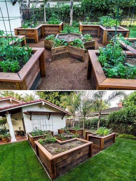 When planning your garden, there are so many backyard landscaping and garden design ideas out there and it’s so hard to choose. This post will help you learn how to design and sketch your garden design ideas to plan your perfect garden. You have to see these amazing garden design ideas on this pin! #gardening #gardeningtips #gardeningplans #backyardlandscaping #gardendesignideas Raised Garden Designs, Shed Inspiration, Raised Garden Bed Ideas, Garden Bed Ideas, Raised Garden Bed Plans, Garden Layout Vegetable, Building A Raised Garden, Farm Living, Diy Raised Garden