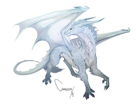 Dragon Poses, Dragon Artwork Fantasy, Dragon Sketch, Fantasy Beasts, Cute Fantasy Creatures, Creature Drawings, Dragon Pictures, White Dragon, Fantasy Creatures Art