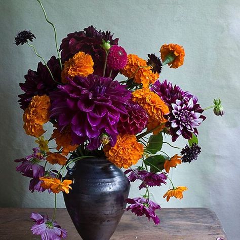 Frances Palmer, Holiday Flower Arrangements, Garden Collage, Slow Flower, Tiger Lilies, Thanksgiving Inspiration, Boquette Flowers, Holiday Flower, Tiger Lily