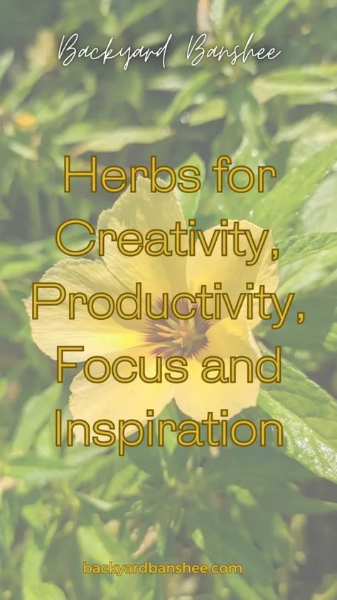 Herbs for productivity purposes is no different than a morning tea or coffee; it’s something that helps to boost your creativity, and get into the right mindset. There are a few herbs that have been used for centuries in magickal workings to promote inspiration too; here is your Backyard Banshee guide to some of them! Read over 20 at backyardbanshee.com Herbs For Creativity, Herbs For Energy, Medicinal Tea, Witch Herbs, Mushroom Tea, Medical Herbs, Herb Farm, Herbal Teas Recipes, Creativity Inspiration