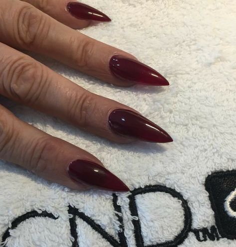 Grunge Nails Acrylic Red, Almond Shaped Jelly Nails, Wine Red Stiletto Nails, Dark Red Nails Stiletto, Maneater Nails, Dark Wine Nails With Design, Vampire Acrylic Nails, Vampire Nails Acrylic, Dark Red Jelly Nails