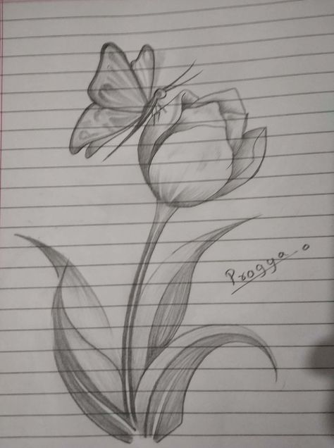 Sketsa Flora Simple, Random Sketch Ideas Simple Easy, Easy Drawings Nature, Butterfly On Flower Drawing, Butterfly And Flower Drawing, Flora And Fauna Drawings, Flower Butterfly Drawing, Aesthetic Flower Sketch, Simple Flower Drawing Easy