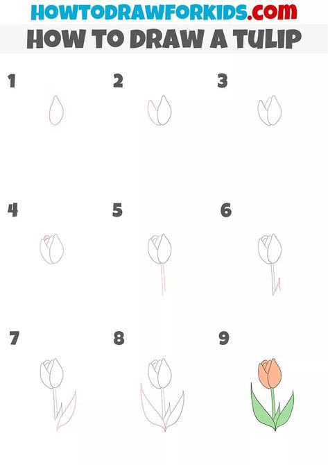 How to Draw a Tulip Step by Step - Easy Drawing Tutorial For Kids Draw A Tulip, Draw Plants, Draw Flowers, How To Draw Steps, Easy Drawing Tutorial, Drawing Lesson, Drawing Tutorials For Kids, Drawing Tutorial Easy, Easy Drawing